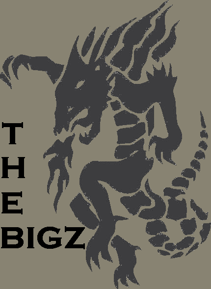 banniere BigZ